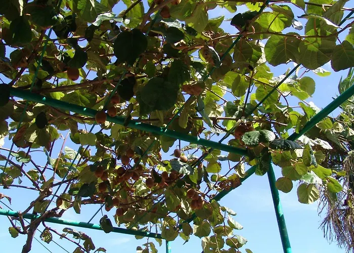 Penzion Sobe Bozica Krk Town