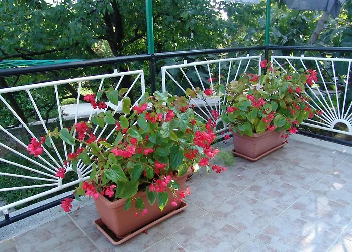 Penzion Sobe Bozica 3*